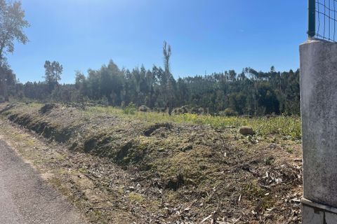 Helårsgrund i Abrantes, Santarem, Abrantes - € 50.000 | Ref: C0364-05683 - foto 2