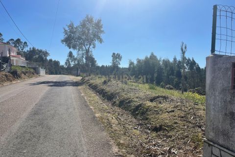 Helårsgrund i Abrantes, Santarem, Abrantes - € 50.000 | Ref: C0364-05683 - foto 3
