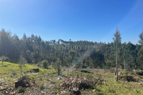 Helårsgrund i Abrantes, Santarem, Abrantes - € 50.000 | Ref: C0364-05683 - foto 6