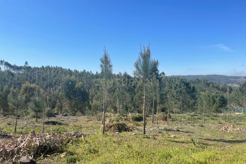 Helårsgrund i Abrantes, Santarem, Abrantes - € 50.000 | Ref: C0364-05683 - foto 7