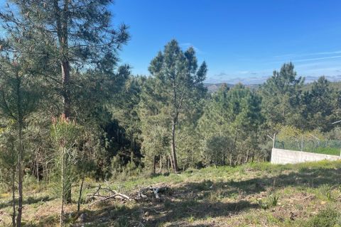 Helårsgrund i Abrantes, Santarem, Abrantes - € 50.000 | Ref: C0364-05683 - foto 8
