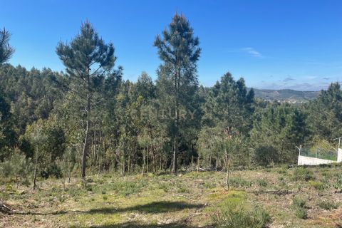 Helårsgrund i Abrantes, Santarem, Abrantes - € 50.000 | Ref: C0364-05683 - foto 9