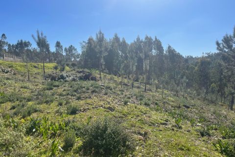 Helårsgrund i Abrantes, Santarem, Abrantes - € 50.000 | Ref: C0364-05683 - foto 14