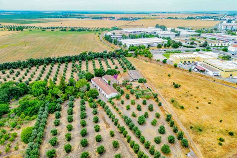 Tomt i Beja, Beja, Beja - € 1 450 000 | Ref: TRI-277-24-CS (1) - foto 2