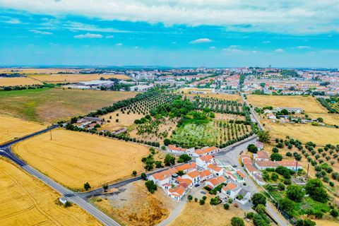 Tomt i Beja, Beja, Beja - € 1 450 000 | Ref: TRI-277-24-CS (1) - foto 3