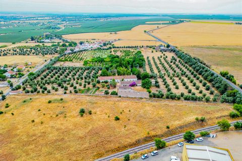 Tomt i Beja, Beja, Beja - € 1 450 000 | Ref: TRI-277-24-CS (1) - foto 4
