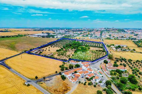 Tomt i Beja, Beja, Beja - € 1 450 000 | Ref: TRI-277-24-CS (1) - foto 5