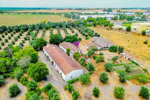 Tomt i Beja, Beja, Beja - € 1 450 000 | Ref: TRI-277-24-CS (1) - foto 7