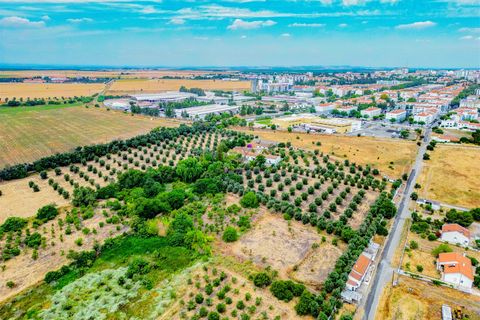 Tomt i Beja, Beja, Beja - € 1 450 000 | Ref: TRI-277-24-CS (1) - foto 9