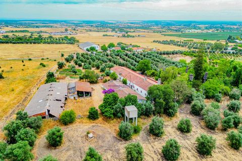 Tomt i Beja, Beja, Beja - € 1 450 000 | Ref: TRI-277-24-CS (1) - foto 12