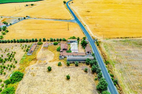 Tomt i Beja, Beja, Beja - € 1 450 000 | Ref: TRI-277-24-CS (1) - foto 13