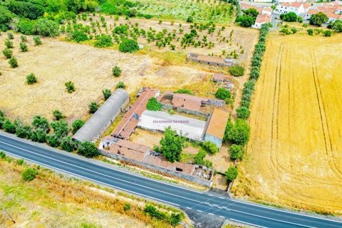 Tomt i Beja, Beja, Beja - € 1 450 000 | Ref: TRI-277-24-CS (1) - foto 14