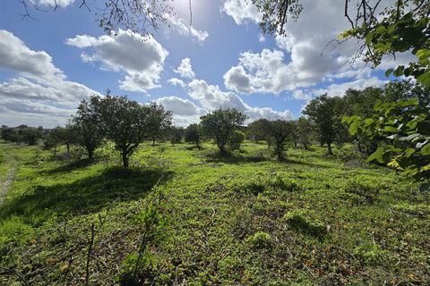Tomt i Beja, Beja, Beja - € 1 450 000 | Ref: TRI-277-24-CS (1) - foto 17