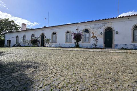 Tomt i Beja, Beja, Beja - € 1 450 000 | Ref: TRI-277-24-CS (1) - foto 18