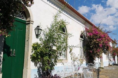 Tomt i Beja, Beja, Beja - € 1 450 000 | Ref: TRI-277-24-CS (1) - foto 20