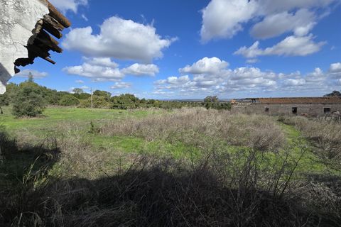 Tomt i Beja, Beja, Beja - € 1 450 000 | Ref: TRI-277-24-CS (1) - foto 21