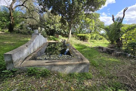 Tomt i Beja, Beja, Beja - € 1 450 000 | Ref: TRI-277-24-CS (1) - foto 23