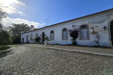 Tomt i Beja, Beja, Beja - € 1 450 000 | Ref: TRI-277-24-CS (1) - foto 24