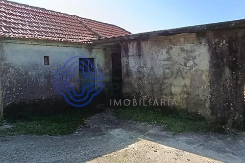 Byhus i Amarante, Porto, Amarante - € 46.500 | Ref: 1125321 - foto 11