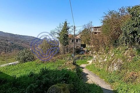 Byhus i Amarante, Porto, Amarante - € 46.500 | Ref: 1125321 - foto 18