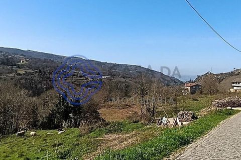 Byhus i Amarante, Porto, Amarante - € 46.500 | Ref: 1125321 - foto 19