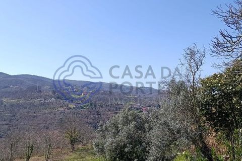 Byhus i Amarante, Porto, Amarante - € 46.500 | Ref: 1125321 - foto 20