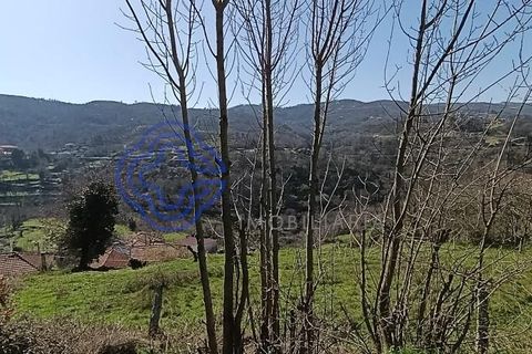 Byhus i Amarante, Porto, Amarante - € 46.500 | Ref: 1125321 - foto 22