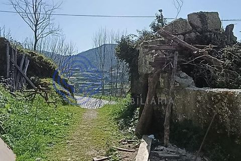 Byhus i Amarante, Porto, Amarante - € 46.500 | Ref: 1125321 - foto 23