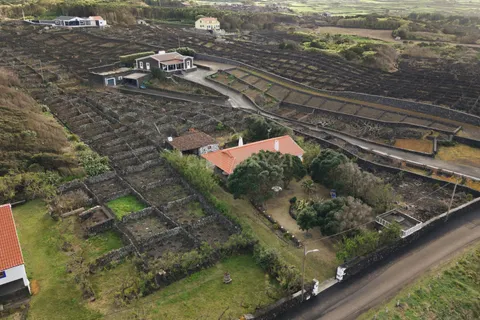 Villa i Biscoitos, Terceira, Biscoitos - € 557.000 | Ref: C0423-00709 - foto 22