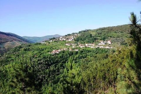 Helårsgrund i Valongo, Porto, Valongo - € 385.000 | Ref: C0457-00050 - foto 2