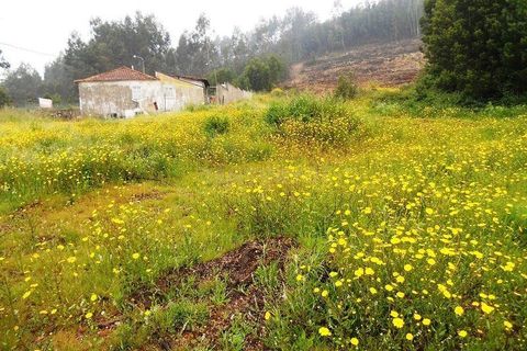 Helårsgrund i Valongo, Porto, Valongo - € 385.000 | Ref: C0457-00050 - foto 5