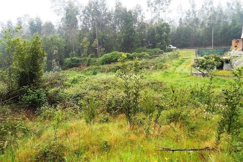 Helårsgrund i Valongo, Porto, Valongo - € 385.000 | Ref: C0457-00050 - foto 10