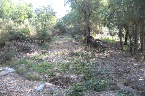 Helårsgrund i Valongo, Porto, Valongo - € 220.000 | Ref: C0457-00051 - foto 4