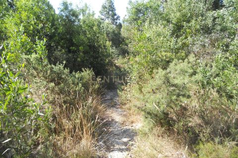 Helårsgrund i Valongo, Porto, Valongo - € 220.000 | Ref: C0457-00051 - foto 5