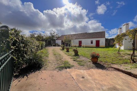 Villa i Alcacovas, Evora, Alcacovas - € 495.000 | Ref: 0897-02169 - foto 35