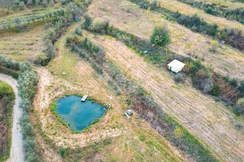 Farm hus i Guarda, Guarda, Guarda - € 650.000 | Ref: H772 - foto 35
