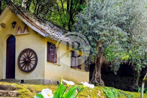 Villa i Cetona, Siena, Cetona - € 1.800.000 | Ref: IB 803 - foto 4