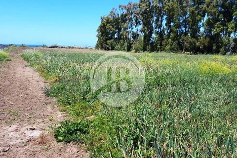 Villa i Tropea, Vibo Valentia, Tropea - € 660.000 | Ref: BI 29 - foto 8