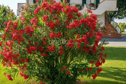 Villa i Jesi, Ancona, Jesi - € 330.000 | Ref: J3074 - foto 3