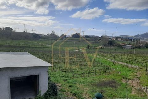 Duplex i Serzedelo, Braga, Serzedelo - € 390.000 | Ref: BA-011 - foto 7