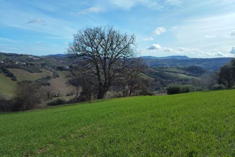 Villa a Petritoli, Fermo, Petritoli - € 70.000 | Ref: MC3-46489 - foto 6