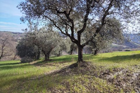 Villa a Petritoli, Fermo, Petritoli - € 70.000 | Ref: MC3-46489 - foto 12