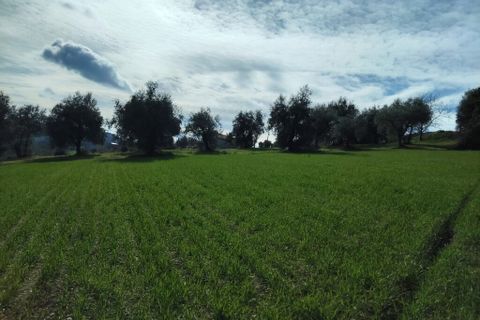 Villa a Petritoli, Fermo, Petritoli - € 70.000 | Ref: MC3-46489 - foto 14