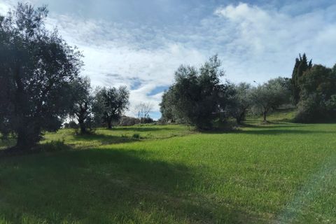 Villa a Petritoli, Fermo, Petritoli - € 70.000 | Ref: MC3-46489 - foto 3