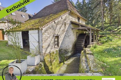 Farm hus i Lignac, Indre, Lignac - € 1.105.000 | Ref: 3011443382 - foto 3
