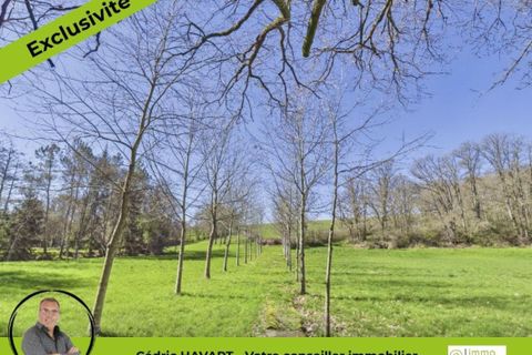 Farm hus i Lignac, Indre, Lignac - € 1.105.000 | Ref: 3011443382 - foto 6