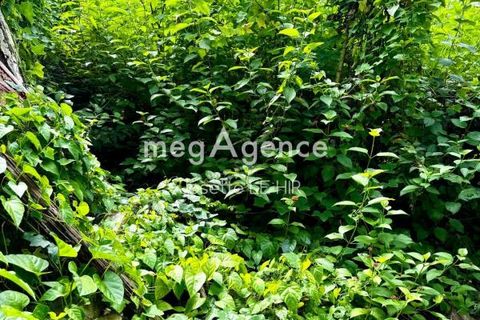 Helårsgrund i Cayenne, French Guiana, Cayenne - € 98.000 | Ref: 200669 - foto 2
