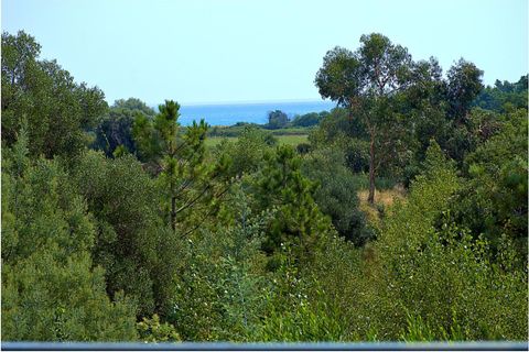 Villa i Solaro, Haute-Corse, Solaro - € 790.000 | Ref: 190942 - foto 2