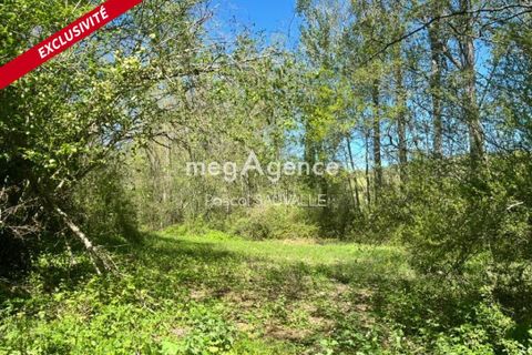 Terra a Chanterac, Dordogne, Chanterac - € 21.000 | Ref: 200459 - foto 2