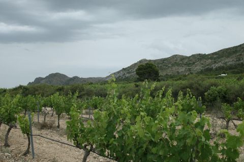 Villa i Yecla, Murcia, Yecla - € 800.000 | Ref: CON-36303 - foto 32